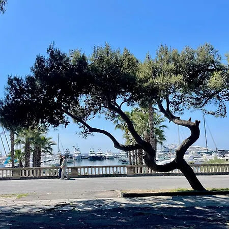 Apartmán Casa Chicca - Bilocale Con Parcheggio Privato